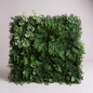 Mur vegetal 50/50 cm Turin