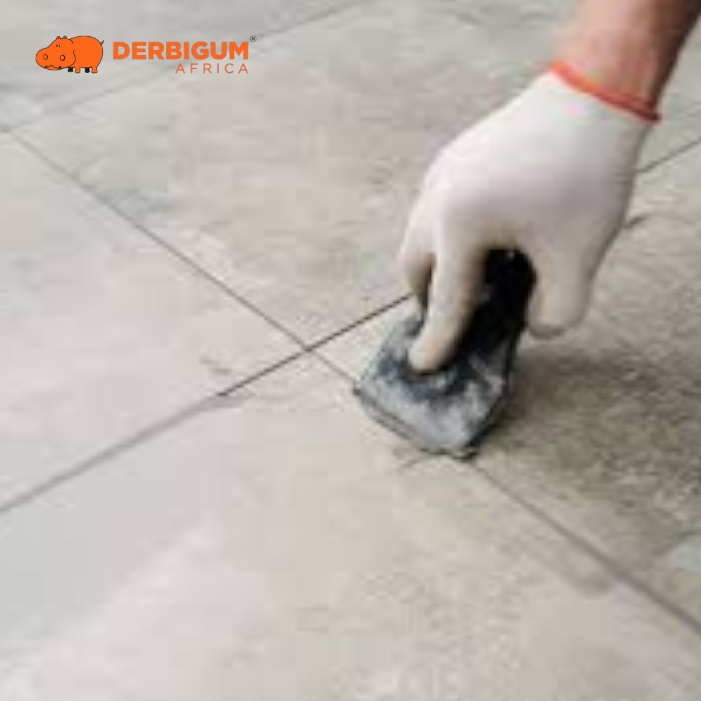 Carojoin 3kg DERBIGUM