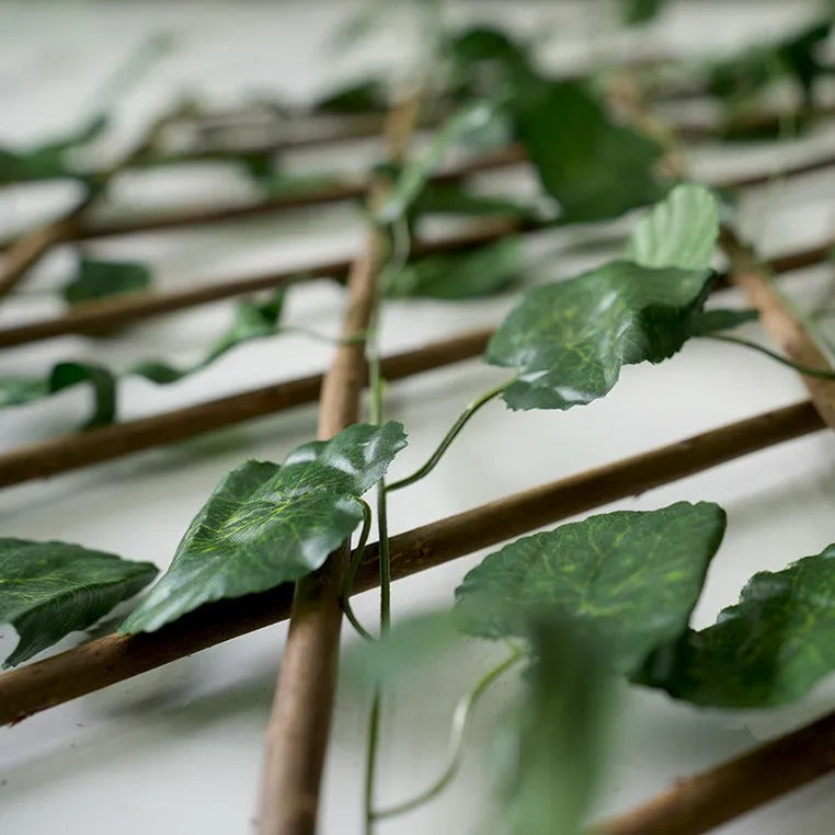 Cloture de Jardin rétractable - Treillis extensible - Feuille de Lierre - Mur végétal - SQES