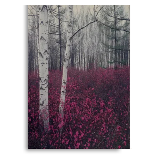 Tableau Foret Mauve 50x70cm imprimé sur Toile Textile Haute qualité