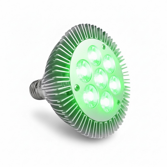 Ampoule LED PAR30 Verte 21W 520nm E27