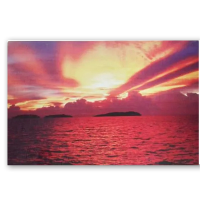 Lot de 3 Tableaux Décoratifs - Coucher Soleil Paris Tulipes