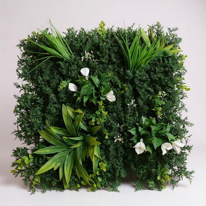 Mur vegetal 50/50 cm Genoa