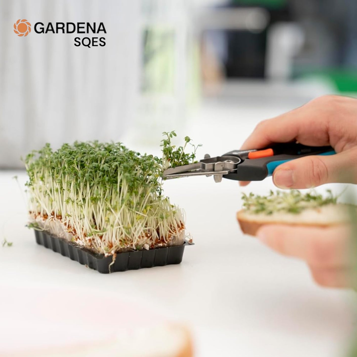 CISEAUX RÉCOLTE LÉGUMES FRUITS GRIPCUT GARDENA