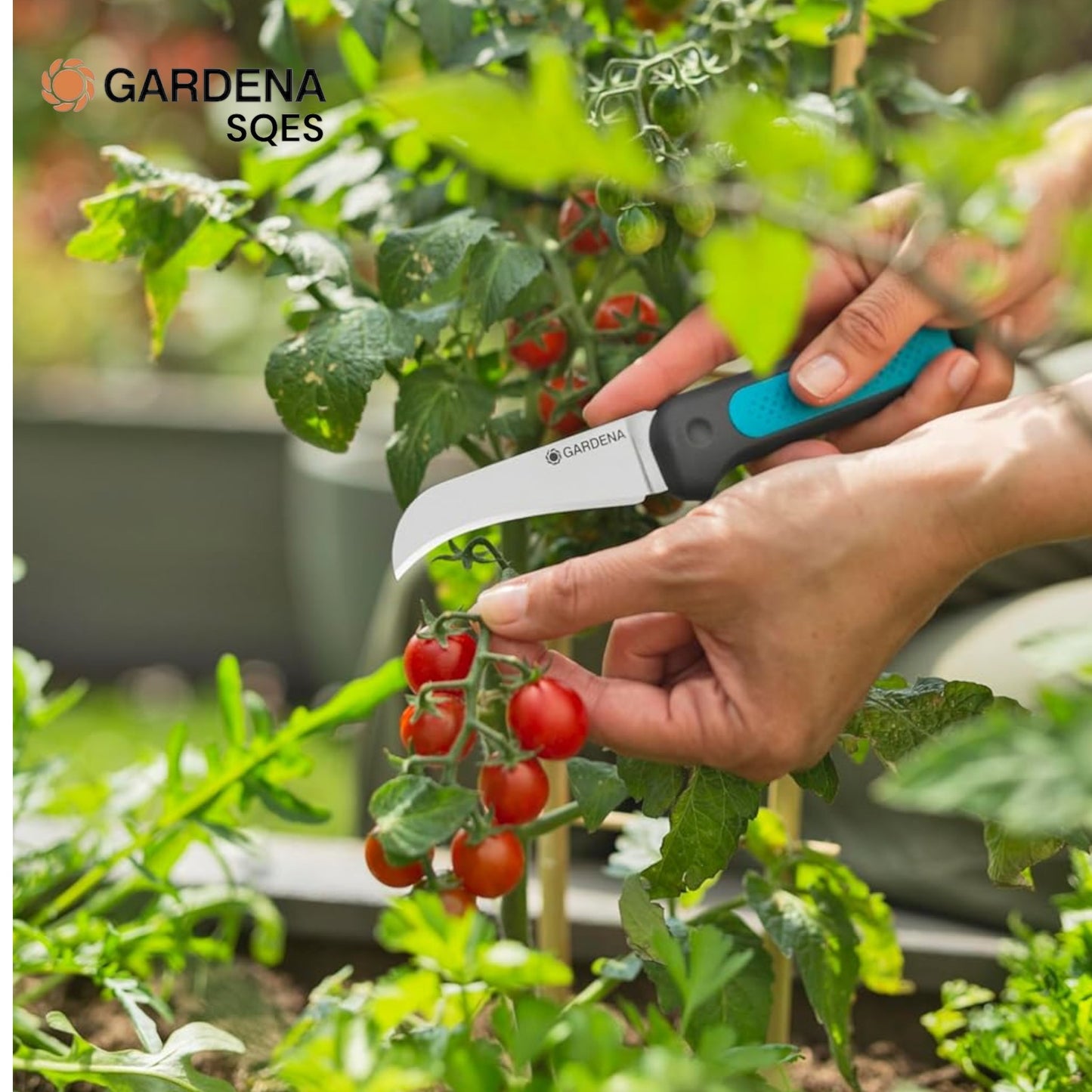 COUTEAU DE RÉCOLTE + ÉTUI ET AIGUISEUR GARDENA (12211-20)