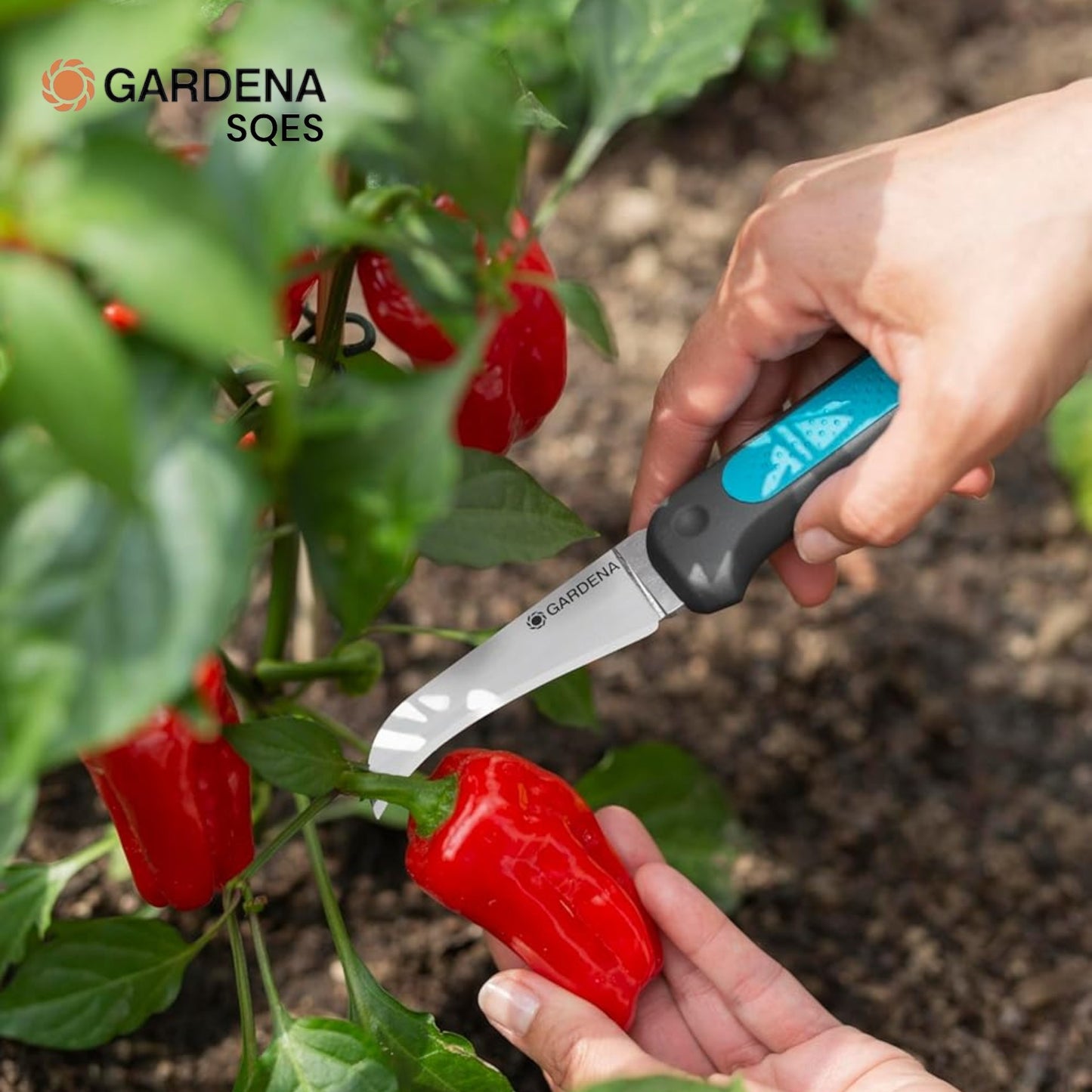 COUTEAU DE RÉCOLTE + ÉTUI ET AIGUISEUR GARDENA (12211-20)