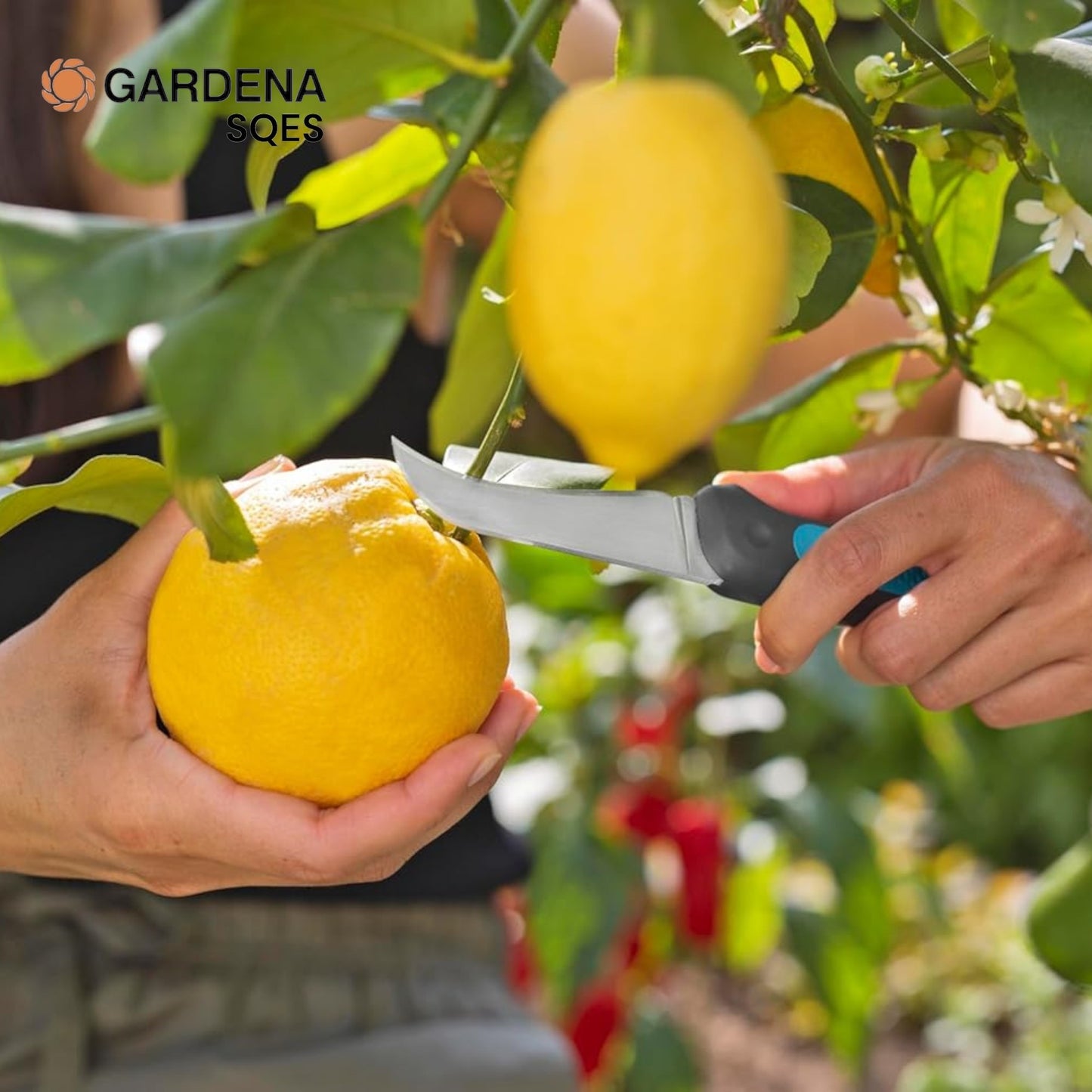 COUTEAU DE RÉCOLTE + ÉTUI ET AIGUISEUR GARDENA (12211-20)