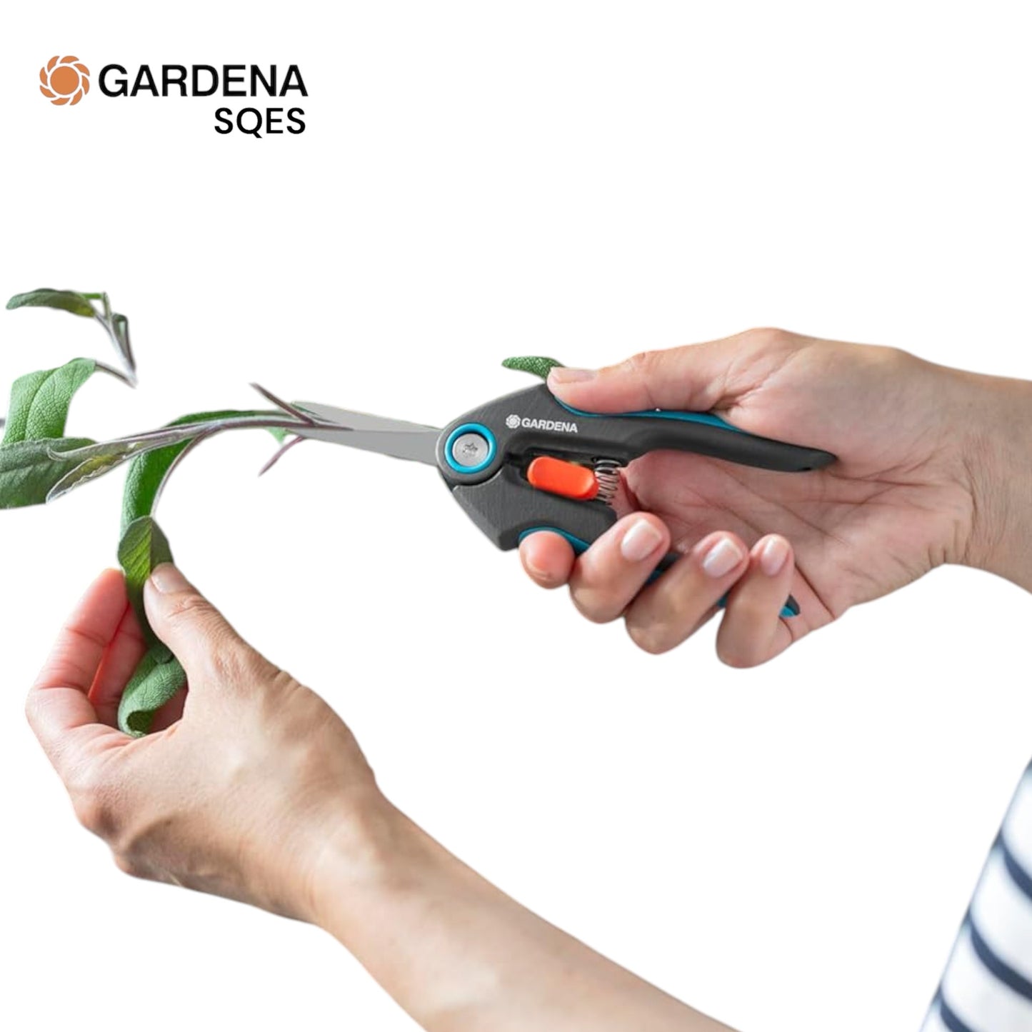 SÉCATEUR RÉCOLTE COUPE PRÉCISE FRESHCUT GARDENA