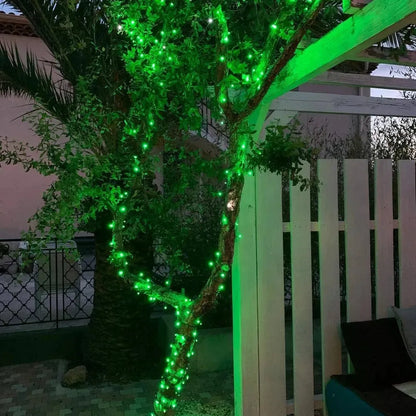Guirlande Vert lumineuse décoratif - 100 LED - 10 m - SQES
