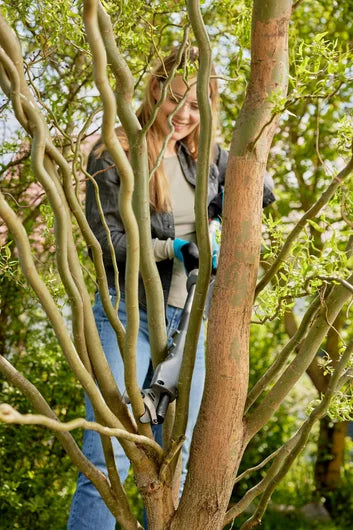 Sécateur sans fil GARDENA EasyCut 110/18V P4A - Télescopique jusqu'à 2,5m