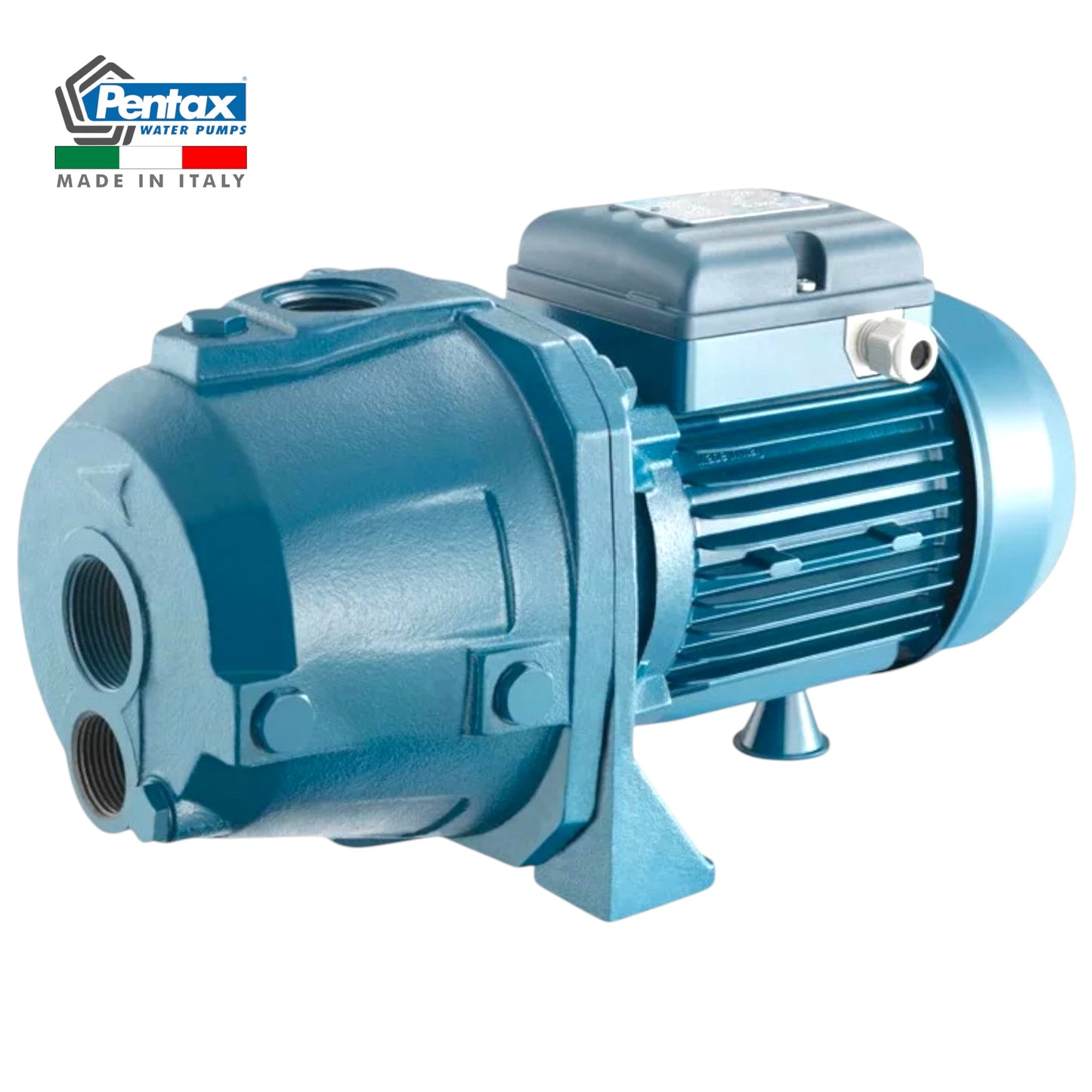Pompe Électrique 1.5CV AP150/00 PENTAX