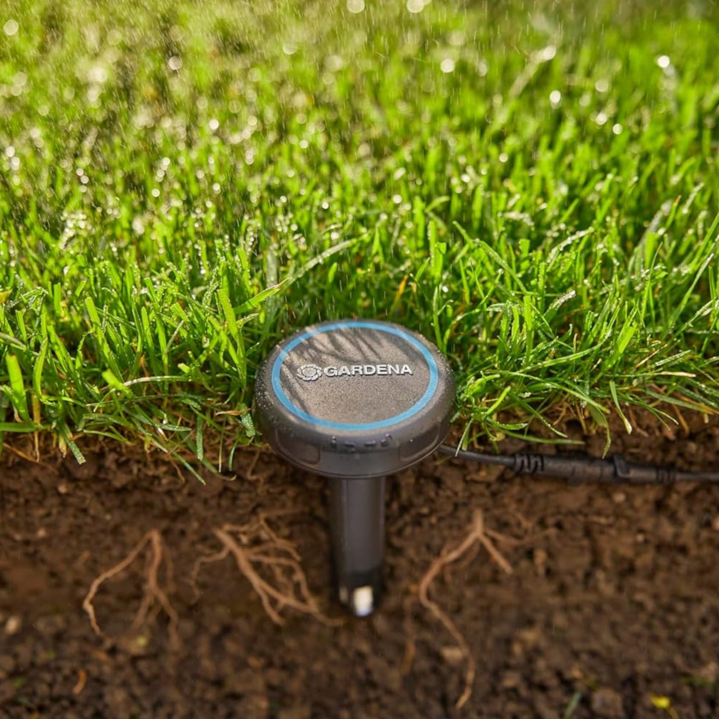 Sonde d'Humidité GARDENA
