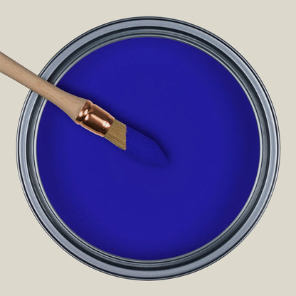 TEINTE COLORANTE UNIVERESELLE - BLEU - TEINTOREX ASTRAL 100GR - SQES