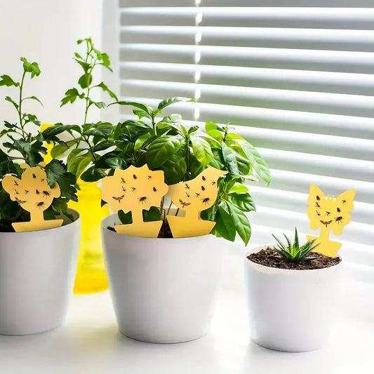 Pièges anti-moucherons engluées Boss Tape lot de 4 x 20cm – élimination moucherons et insectes, plantes d'intérieur, pots et jardins

