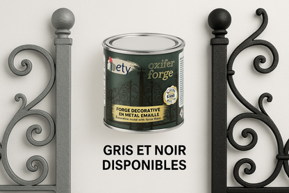 Comparaison gris et noir - 2 couleurs disponibles