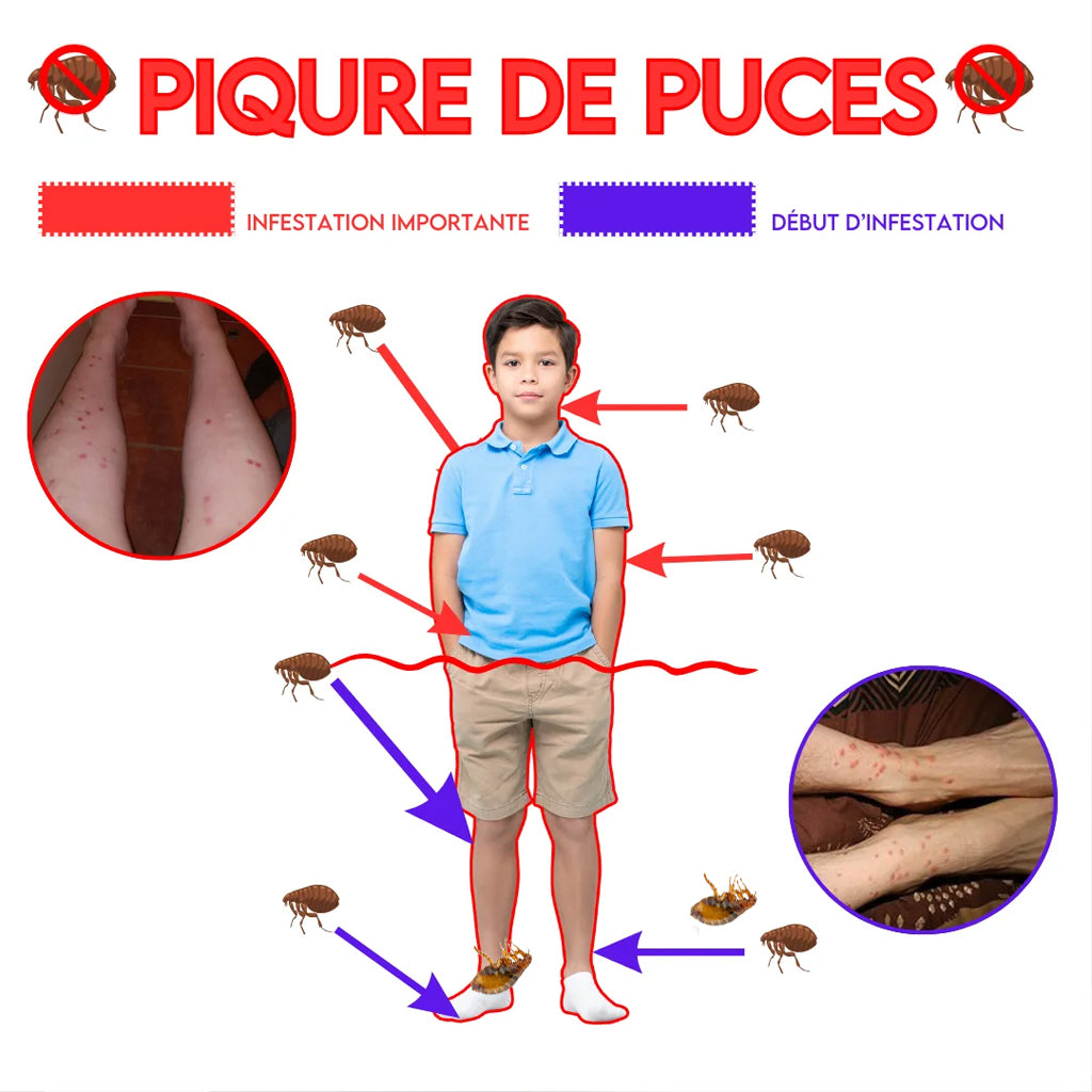 D100 FORCE EC55 - Insecticide Anti-Puces 250ml