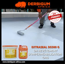 EXTRASEAL DS 500G KIT 20KG DERBIGUM
