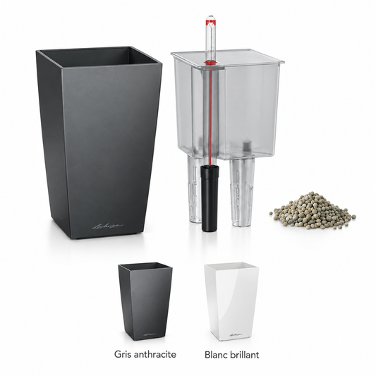 LECHUZA MAXI-CUBI Premium Blanc brillant 18050 et Gris anthracite 18053, pot vertical avec réservoir d’eau 1 L et volume de plantation 1,5 L, pour petites plantes sur table ou bureau | SQES Tunisie
