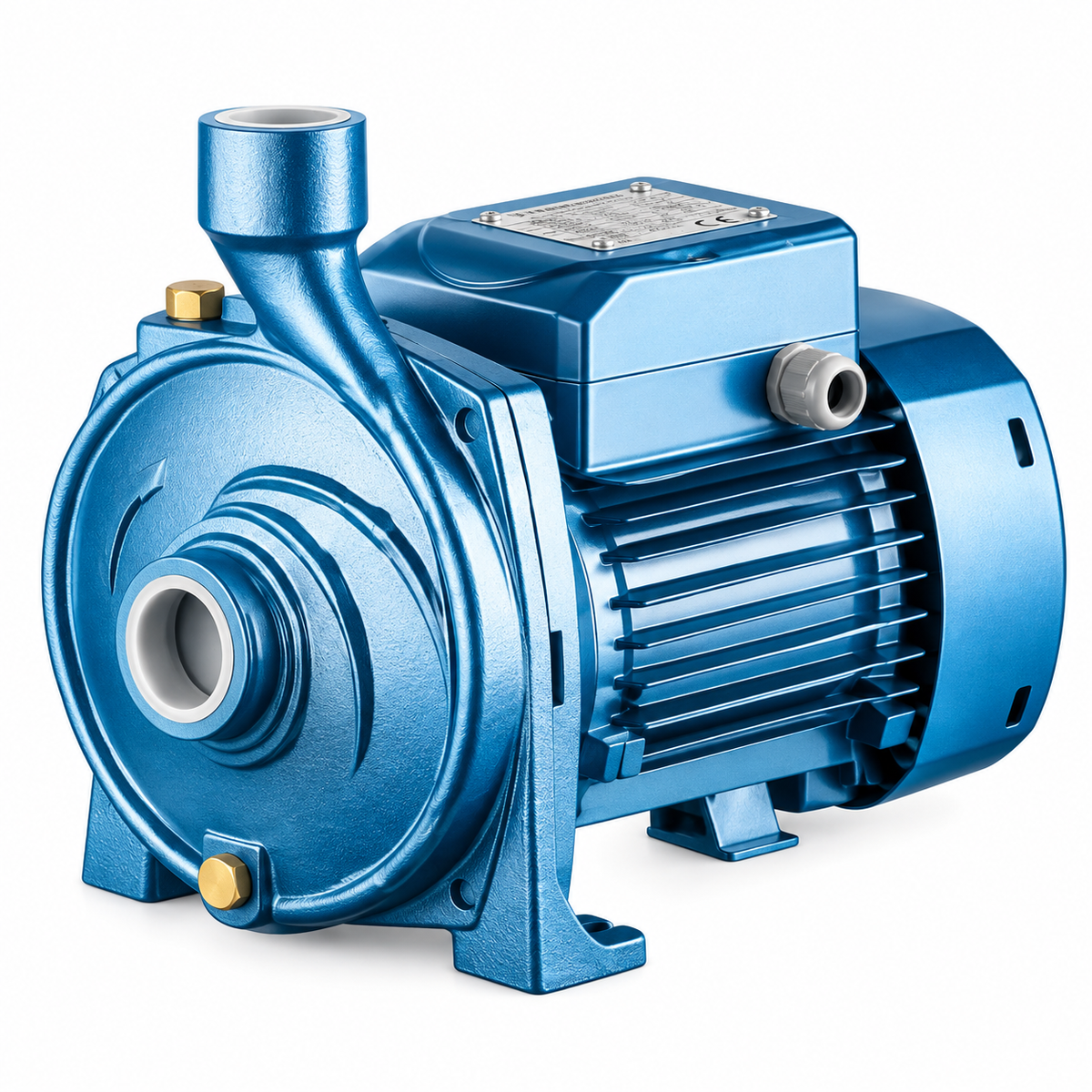 Motopompe CITY PUMPS IC100 MTER 1 CV, débit maxi 90 L/min, hauteur 36 m et aspiration jusqu'à 7 m.