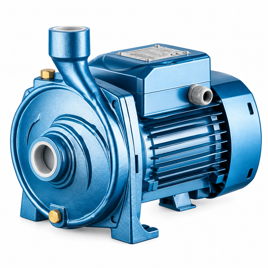 Motopompe CITY PUMPS IC100 MTER 1 CV, débit maxi 90 L/min, hauteur 36 m et aspiration jusqu'à 7 m.