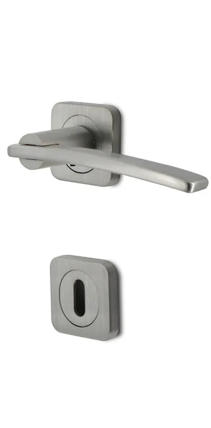 Poignée de Porte avec Rosace – Quadro - Satine - SQES