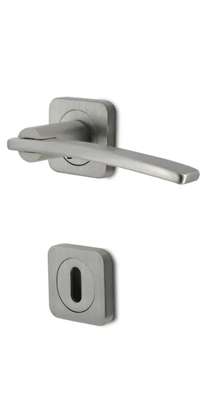 Poignée de Porte avec Rosace – Quadro - Satine - SQES