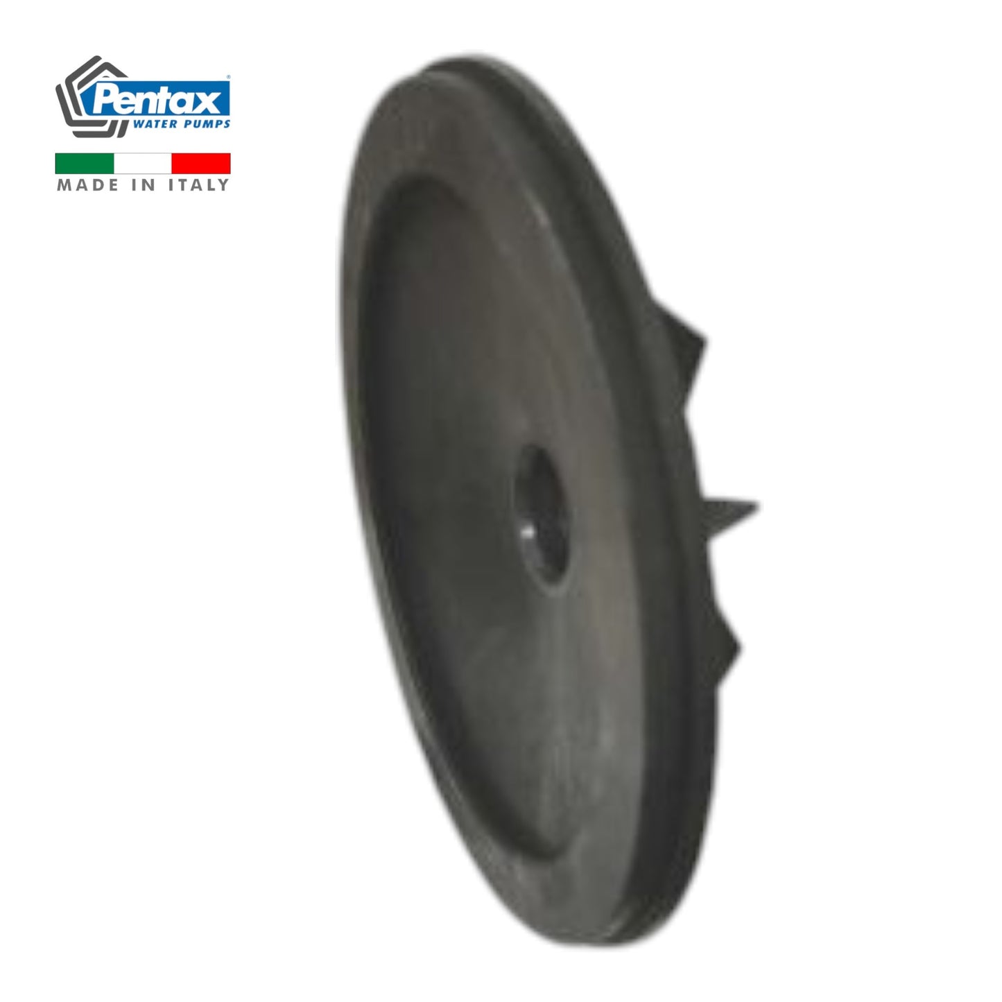 Disque CAMT100 M72514015 Pièce de Rechange Pompe PENTAX