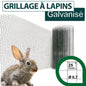 Grillage de Treillis Soudé Galvanisé 300x100cm – Maille 13x13 pour Jardin