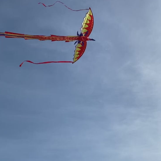 Cerf Volant pour Enfants - Cerf Volant Tunisie