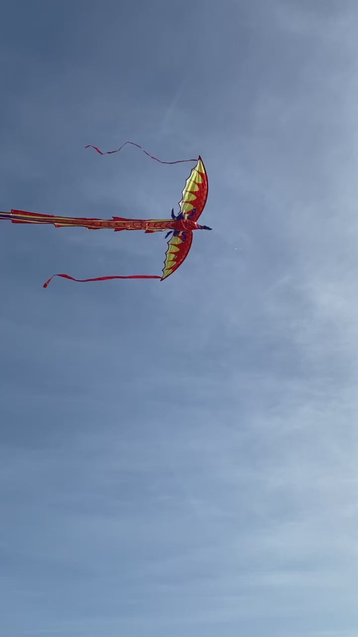 Cerf Volant pour Enfants - Cerf Volant Tunisie