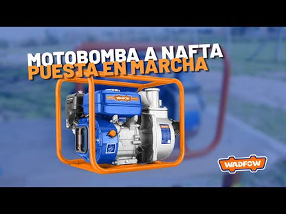 MOTO POMPE - POMPE A EAU - ESSENCE - 2" - 7CV