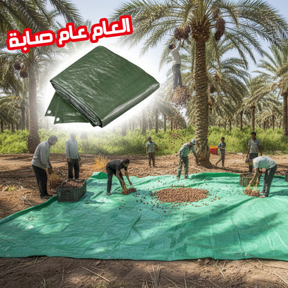 Bâche Récolte Dattes PVC Imperméable avec Œillets - Protection Agriculture Tunisie