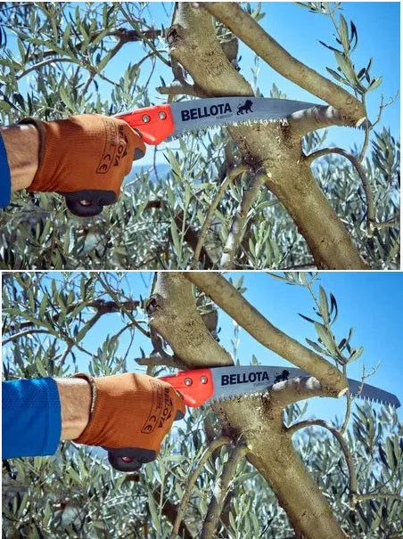 Scie jardinier - à Élaguer Professionnelle - Gamme Lion | Manche Courbé Bimatière - SQES