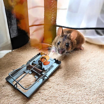 Pièges à Rats - Attrape souris - 17cmx10cm - SQES